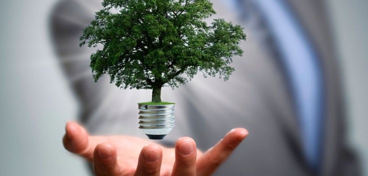 direito-ambiental-1000x480