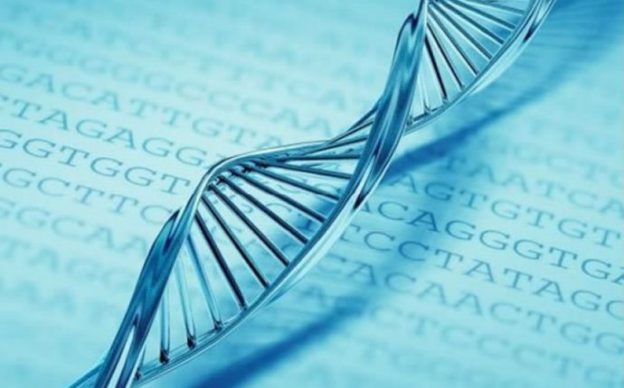 bioetica-qualidade-finalidade-caracteristicas-da-bioetica-brasileira-690x430