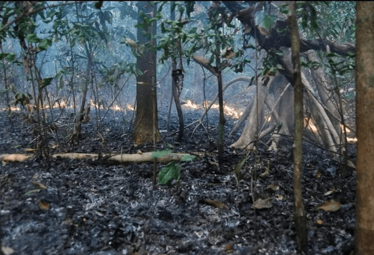 thumbnail_image (3).png