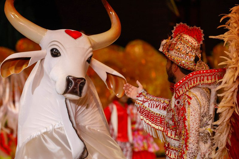 Boi Garantido e Amo do Boi (João Pedro Farias)